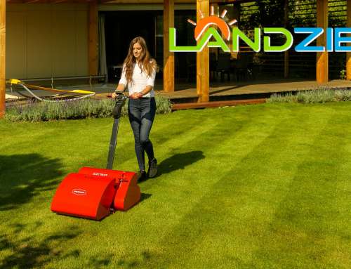 Beautiful Lawn Tips for the Scarifier, Verticutter, and Groomer