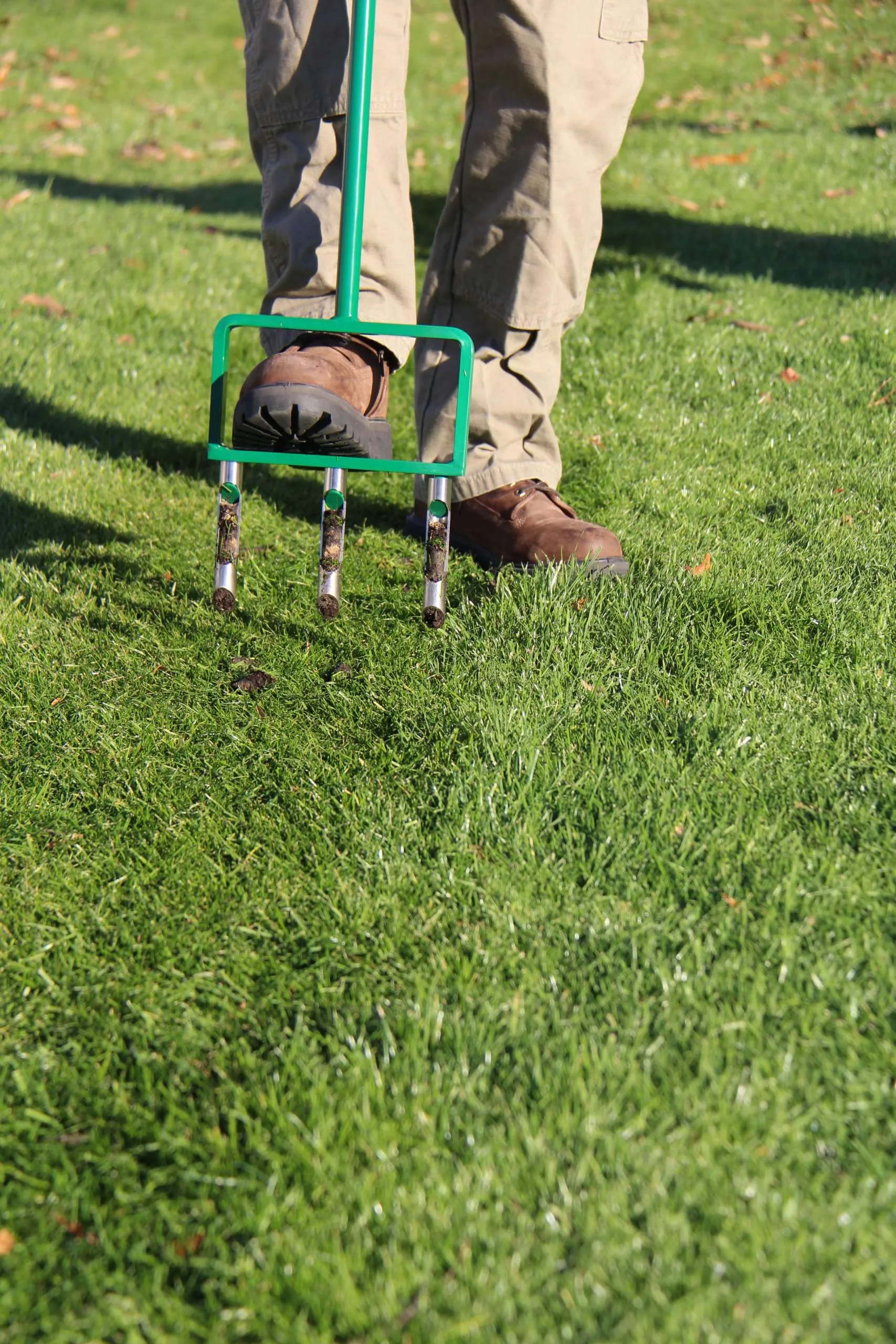 aerate you lawn