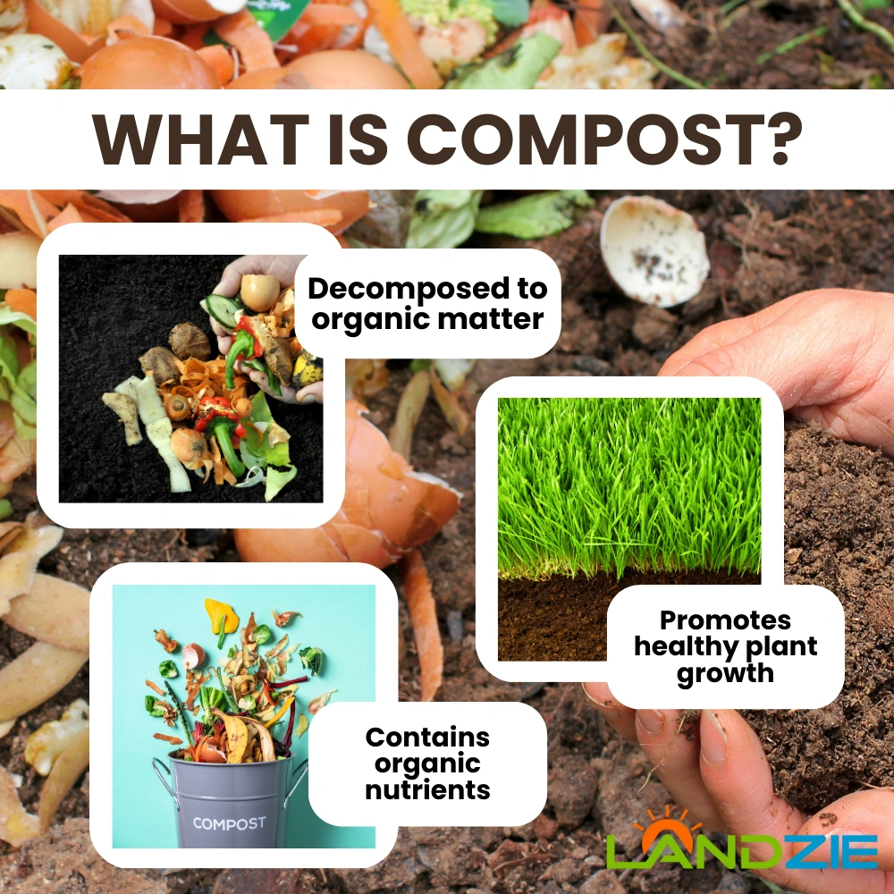 What is Compost? Everything You Need To Know