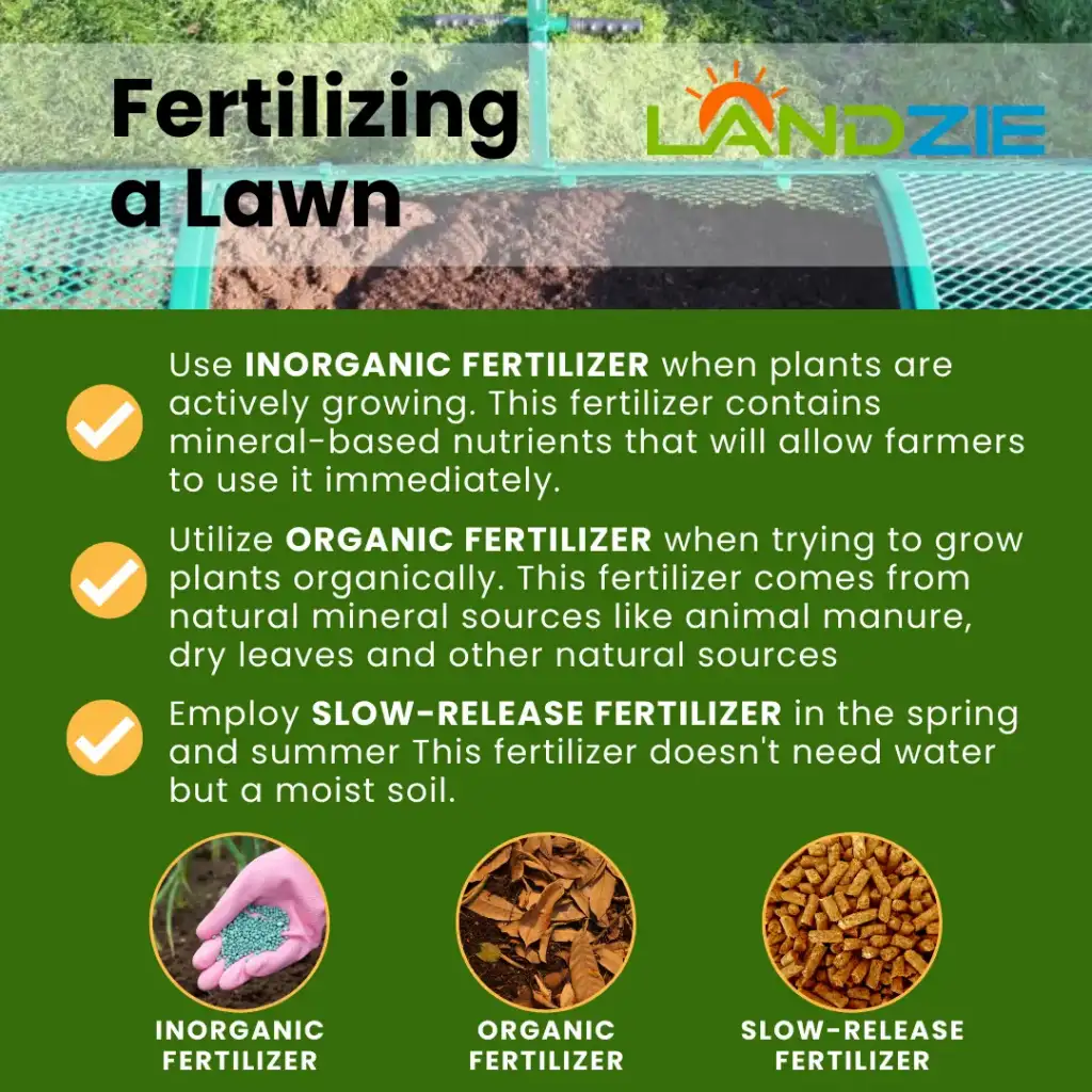 When to outlet fertilize lawn