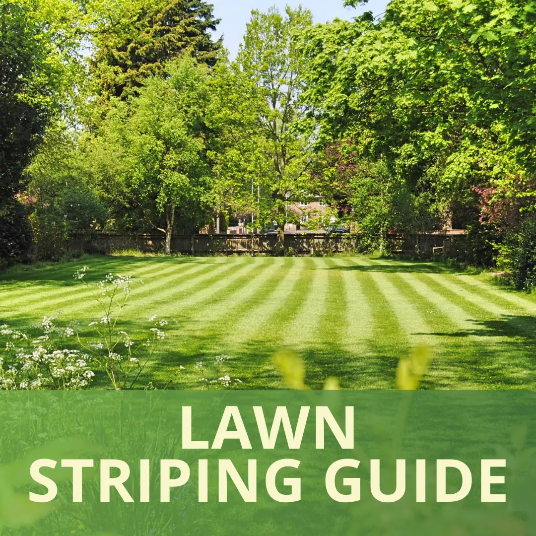 Mowing a lawn and the visual effect of striped lawns