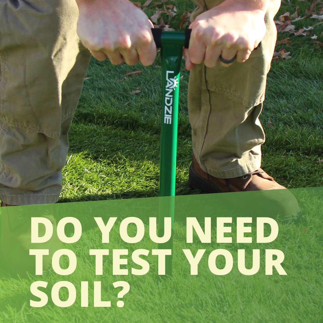 Do you Need to Test your Soil