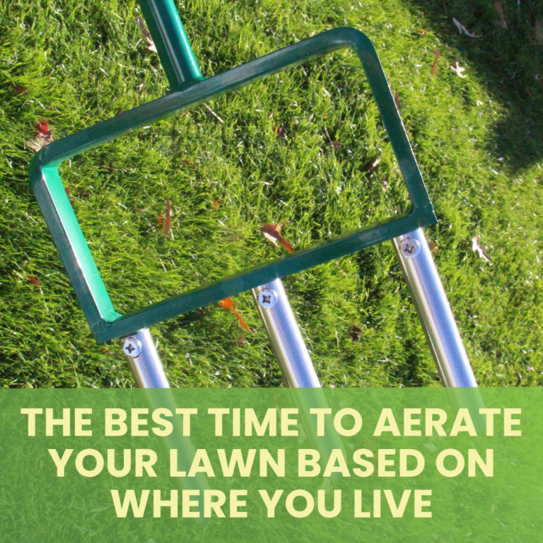 The best time of year to aerate your lawn