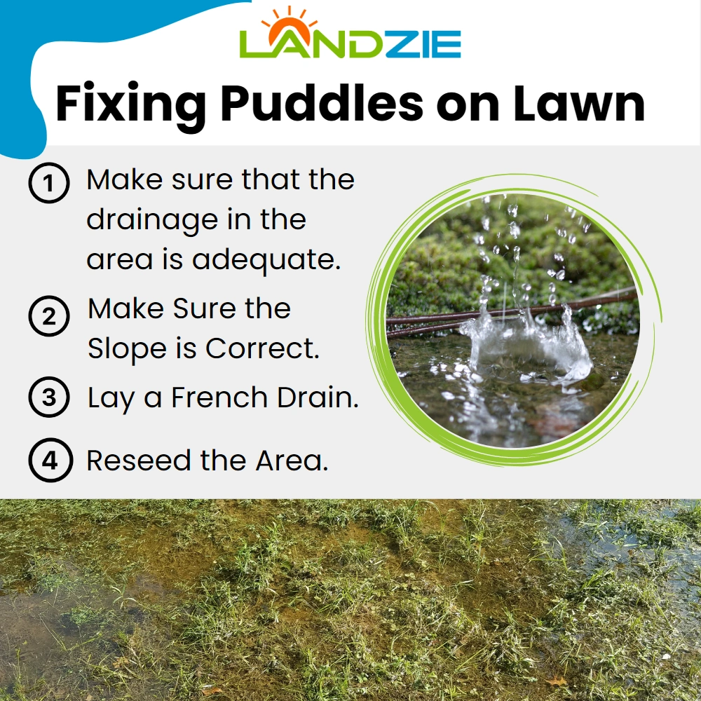 Fixing puddles in lawns
