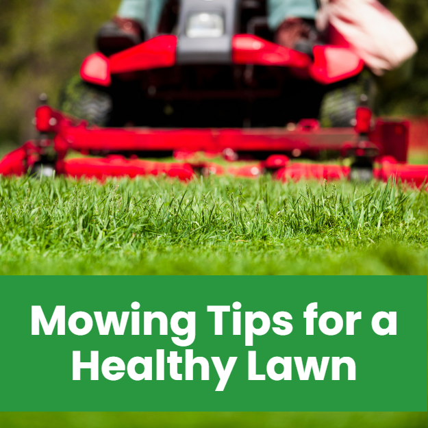 Improve Your Lawn by Using This Lazy Man's Mowing Tip