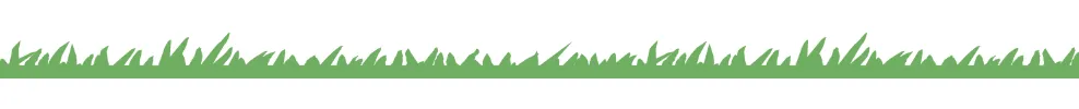 Mowing Lawn Tips for a Healthy Lawn