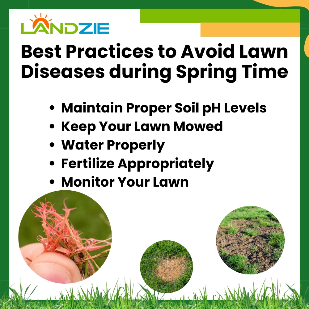Best Practices to Avoid Lawn Diseases during Spring Time