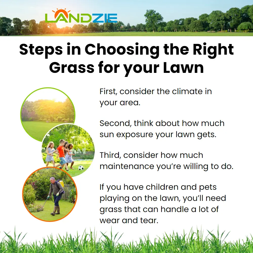 Choosing the Right Grass for your Lawn