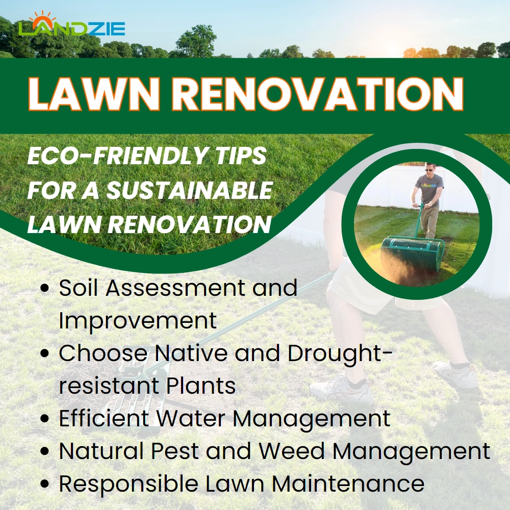 Eco-friendly Tips for Sustainable Lawn Renovation