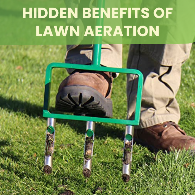 highlighting the hidden benefits of lawn aeration.