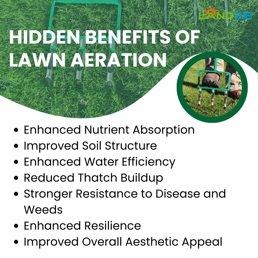 Hidden Benefits of Lawn Aeration highlighting the hidden benefits of lawn aeration.