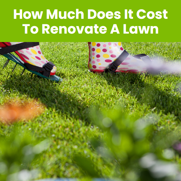 lawn-renovation-cost