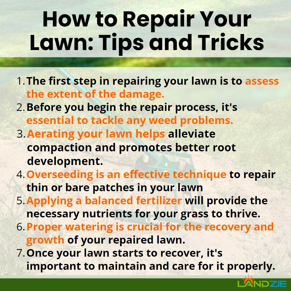 How to Repair Your Lawn: Tips and Tricks