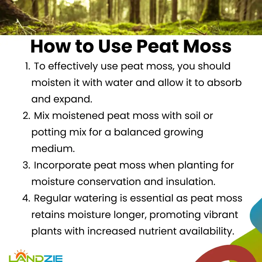 Harnessing the Use of Peat Moss - Landzie