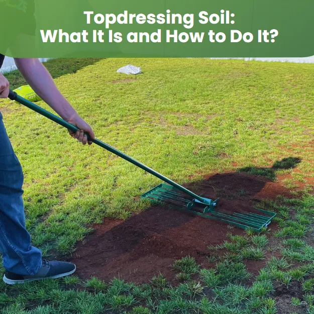 Topdressing Soil is a type of soil used to improve surface drainage, reduce compaction, and provide nutrients to the turf. It is typically composed of sand, compost, and other organic matter.