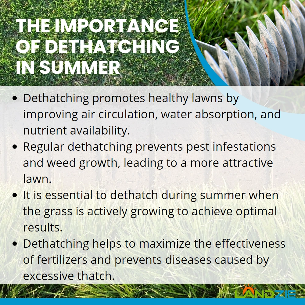 The Importance of Dethatching in Summer