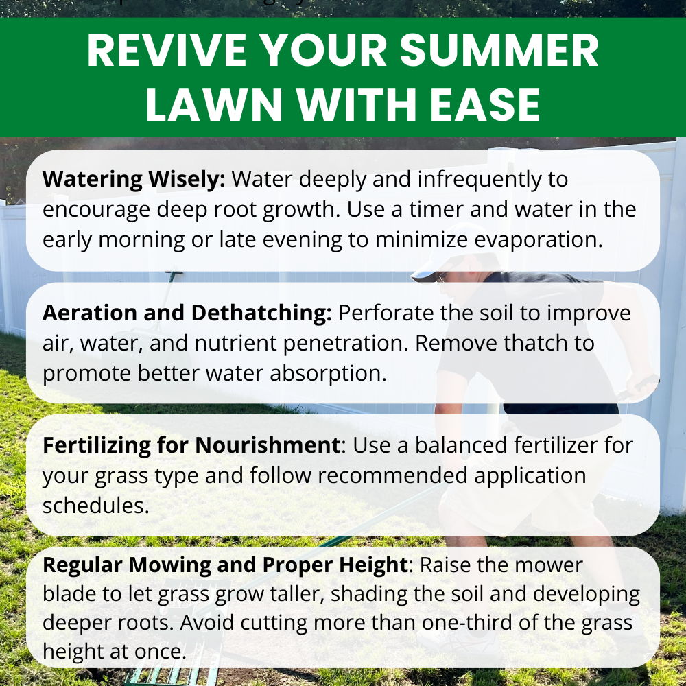 Revive Your Summer Lawn with Ease