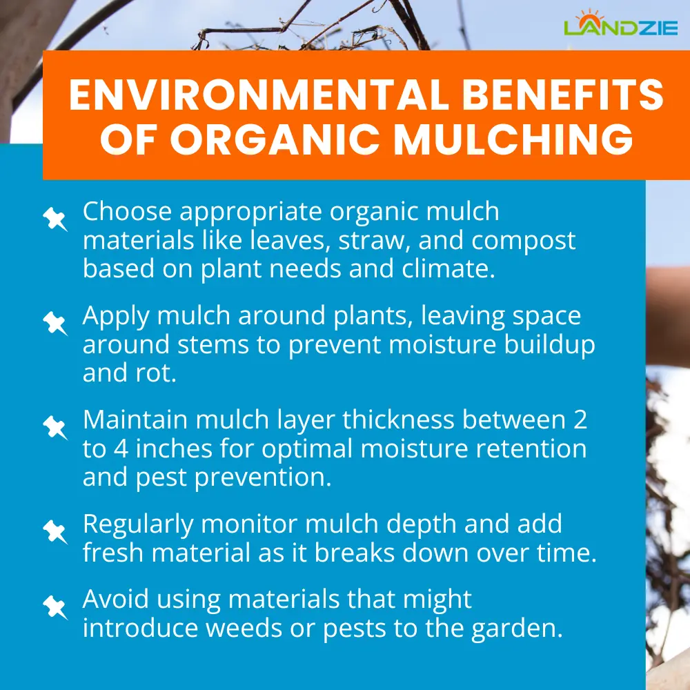 Environmental Benefits of Organic Mulching 1000 Environmental Benefits of Organic Mulching