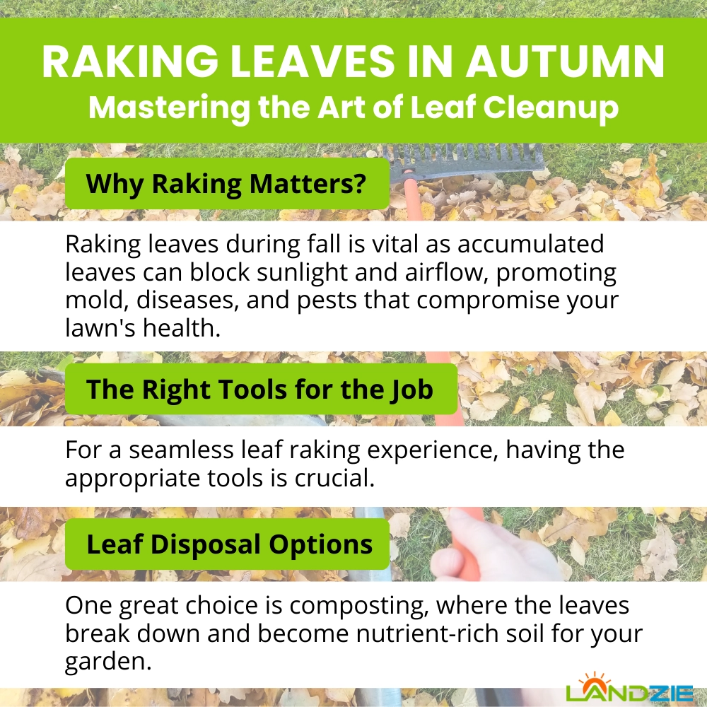 Raking Leaves in Autumn – Mastering the Art of Leaf Cleanup Raking Leaves in Autumn