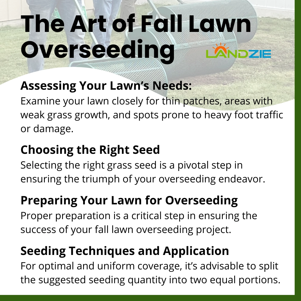 Fall Lawn Overseeding Landzie