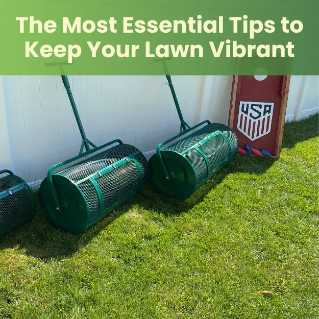 The Most Essential Tips To Keep Your Lawn Vibrant Landzie
