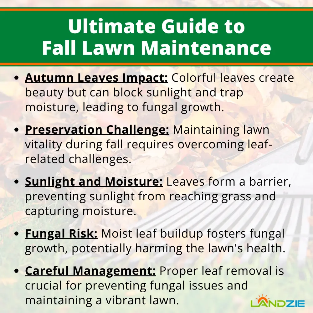 Ultimate Guide to Fall Lawn Maintenance Ultimate Guide to Fall Lawn Maintenance