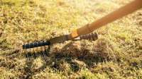 dethatching