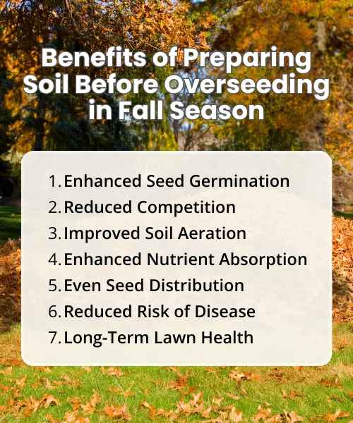 Achieving Success with Fall Lawn Overseeding