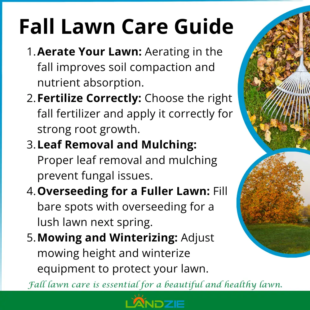 Fall Lawn Care Guide: Keeping Your Grass Green and Healthy