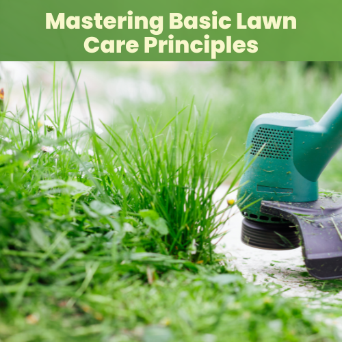 Mastering Basic Lawn Care Principles Landzie Mastering Basic Lawn Care Principles Landzie