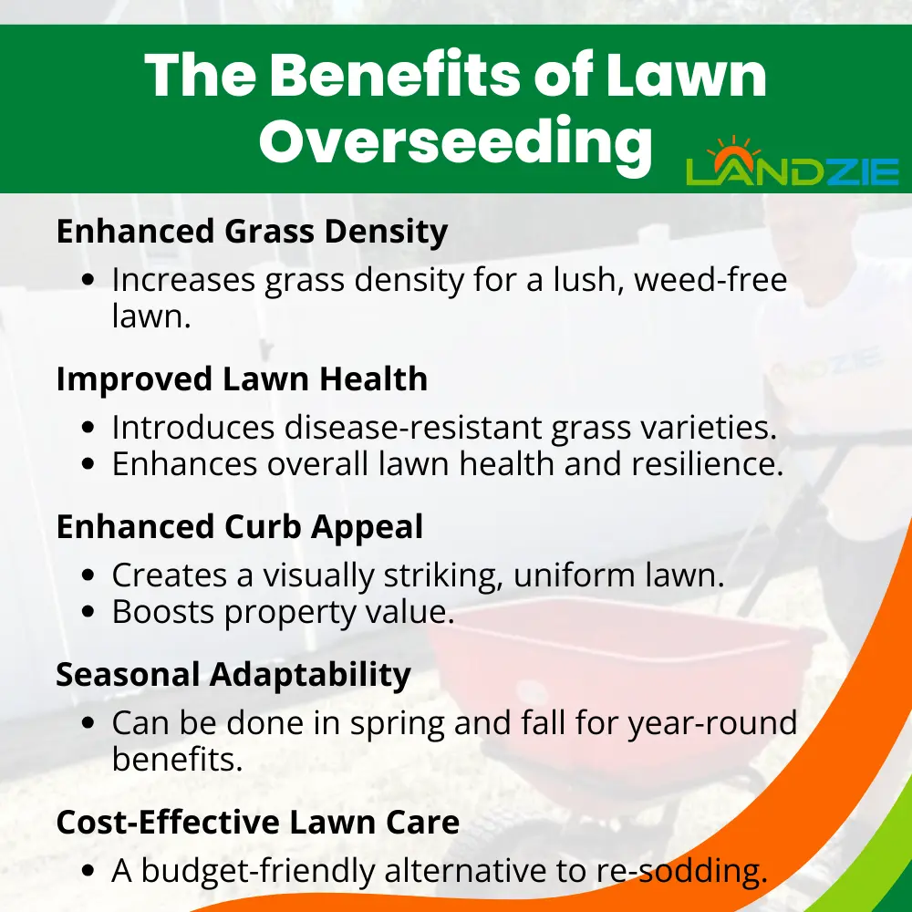 The Benefits of Lawn Overseeding The Benefits of Lawn Overseeding