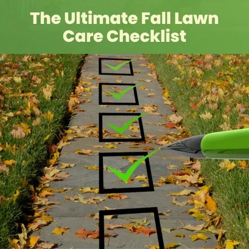 Fall Lawn Care The Ultimate Fall Lawn Care Checklist