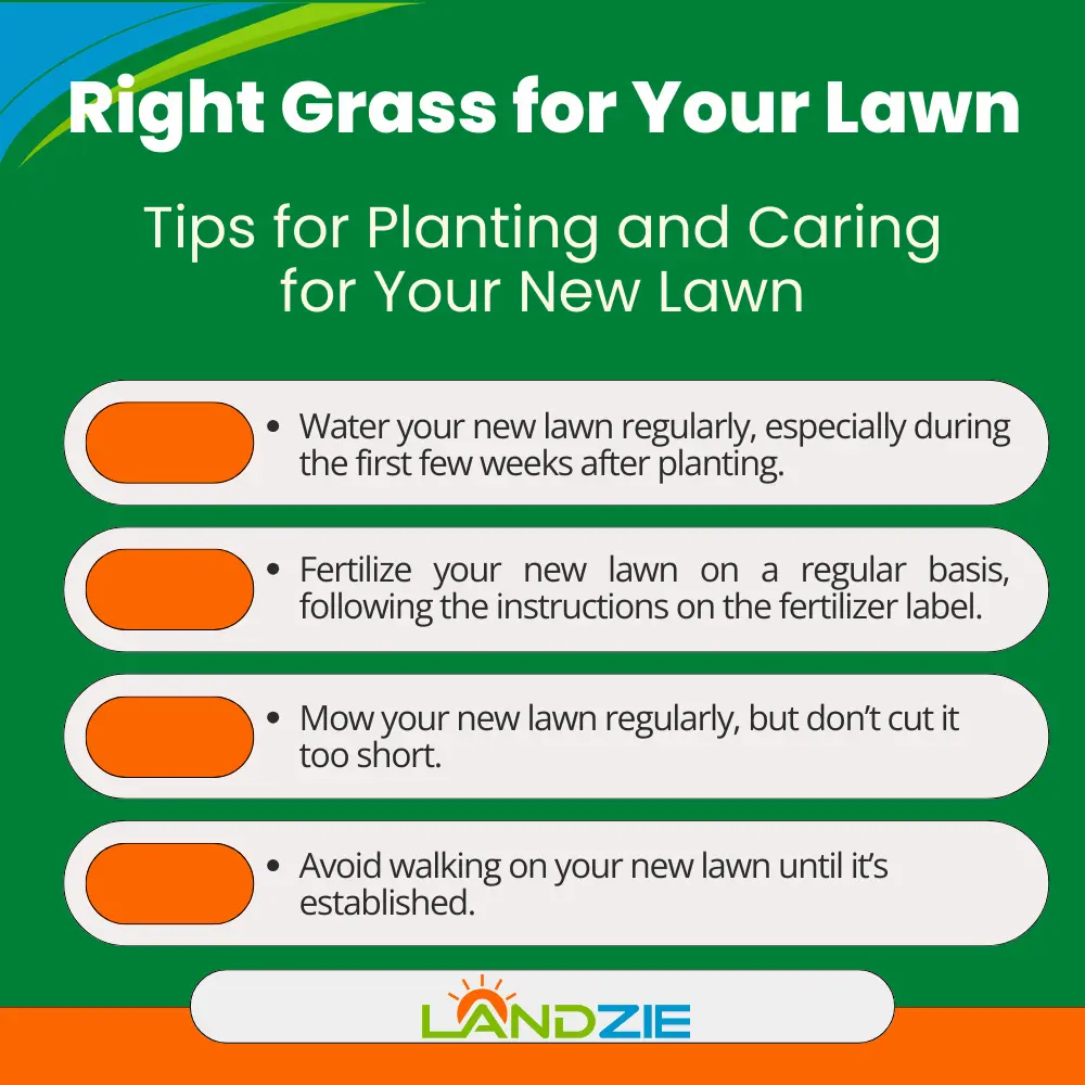Right Grass for Your Lawn Right Grass for Your Lawn