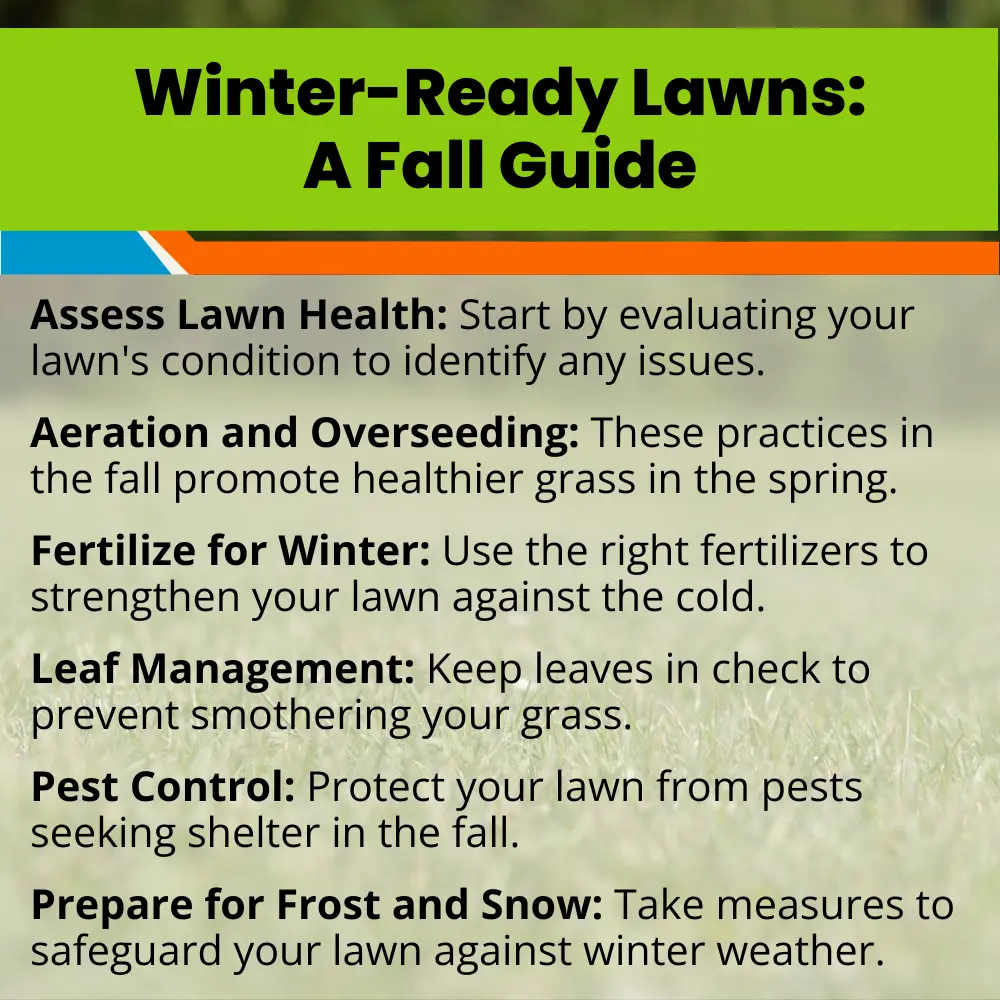 Winter-Ready Lawns: A Fall Guide - Landzie