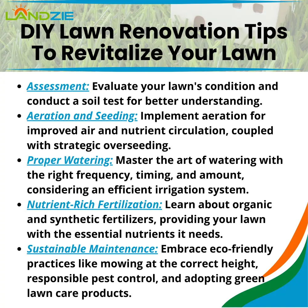 DIY Lawn Renovation Tips to Revitalize Your Lawn