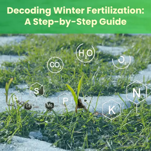 Decoding Winter Fertilization A Step-by-Step Guide