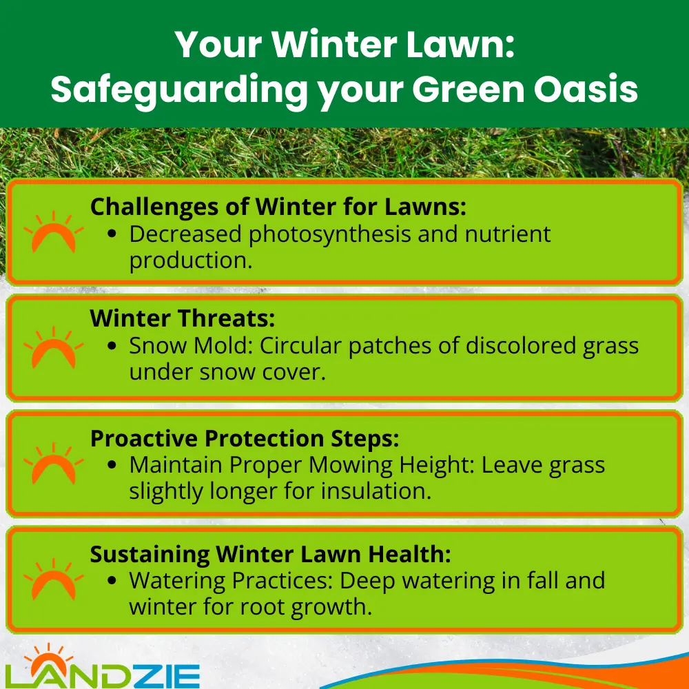 Your winter lawn: Safeguarding your Green Oasis