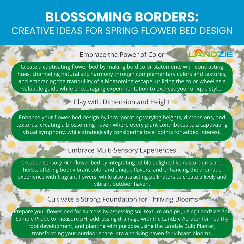 Blossoming Borders: Creative Ideas for Spring Flower Bed Design