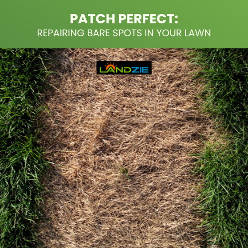 Patch Perfect: Repairing Bare Spots in Your Lawn - Landzie