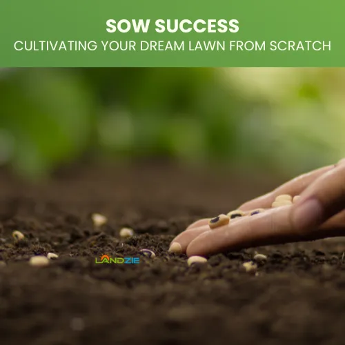 Sow Success Cultivating Your Dream Lawn From Scratch Landzie Sow Success Cultivating Your Dream Lawn From Scratch Landzie