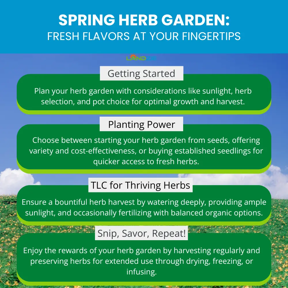 Spring Herb Garden: Fresh Flavors at Your Fingertips