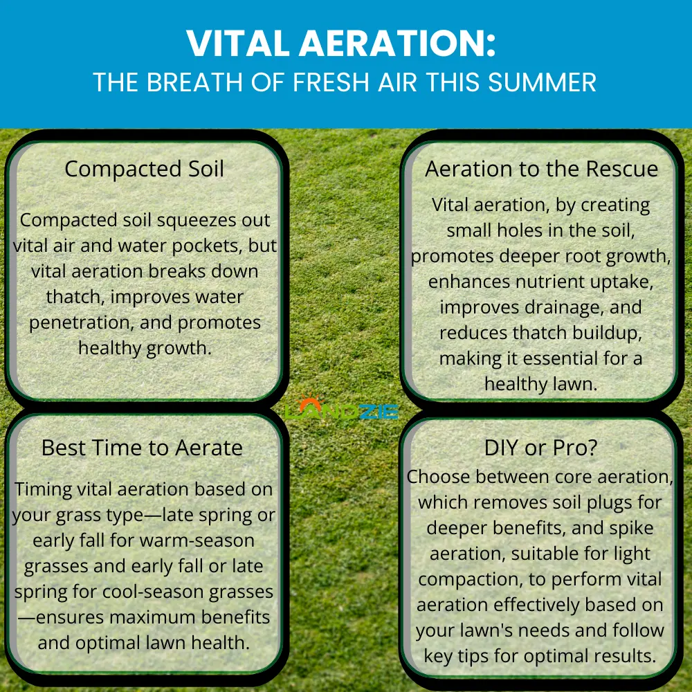 Vital Aeration: The Breath of Fresh Air this Summer