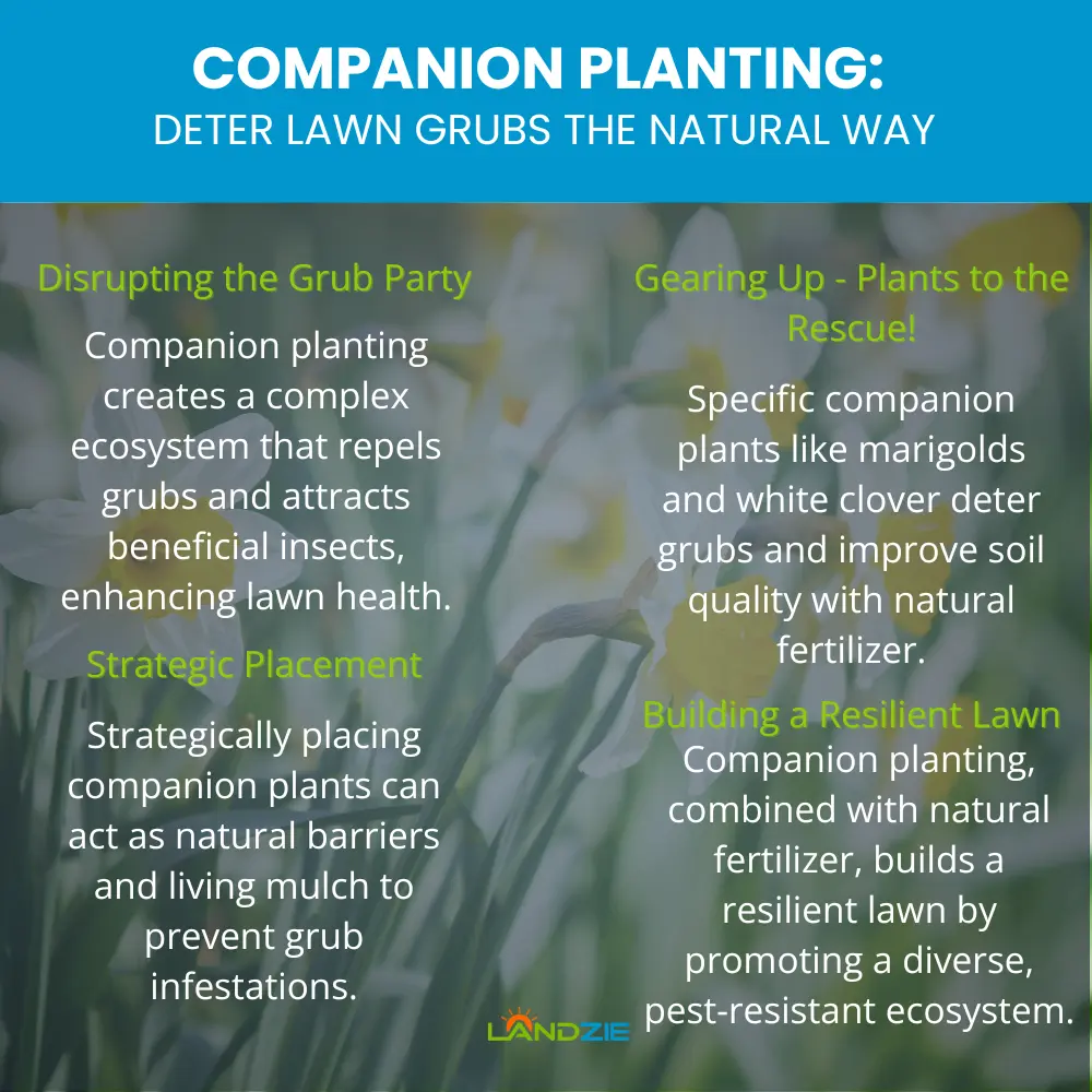 Companion Planting: Deter Lawn Grubs the Natural Way