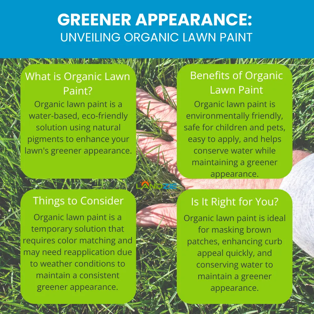 Greener Appearance: Unveiling Organic Lawn Paint Greener Appearance: Unveiling Organic Lawn Paint