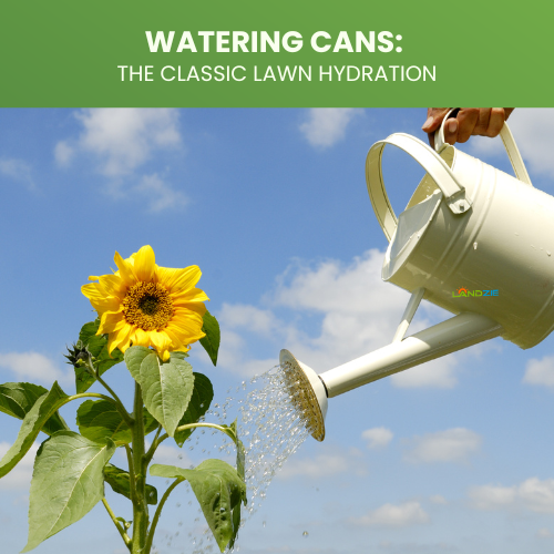 Graphic that serves as a link to an article describing benefits of watering cans.
