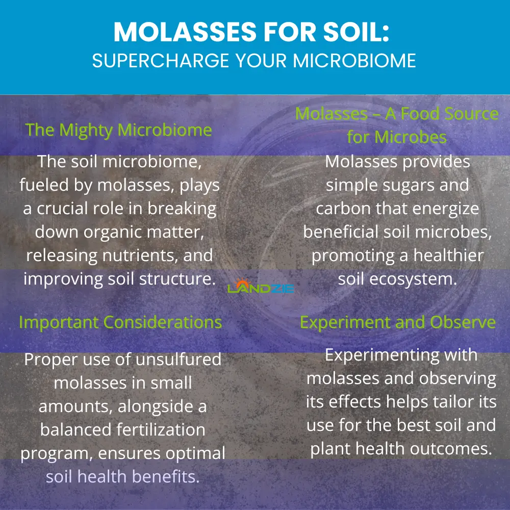 Molasses for Soil: Supercharge Your Microbiome
