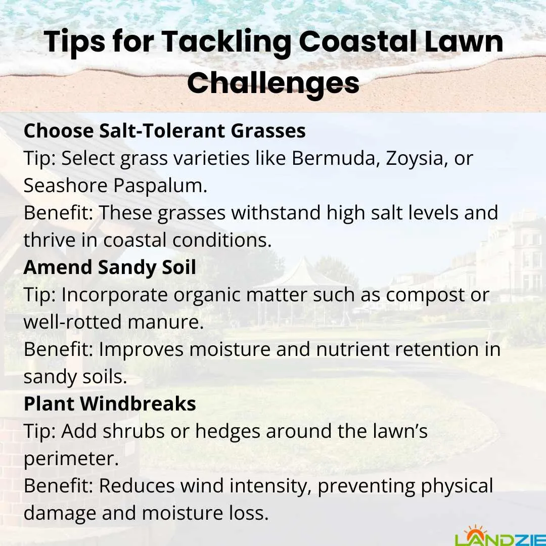 Tips for Tackling Coastal Lawn Challenges