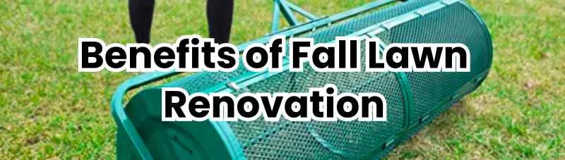 Benefits of Fall Lawn Renovation