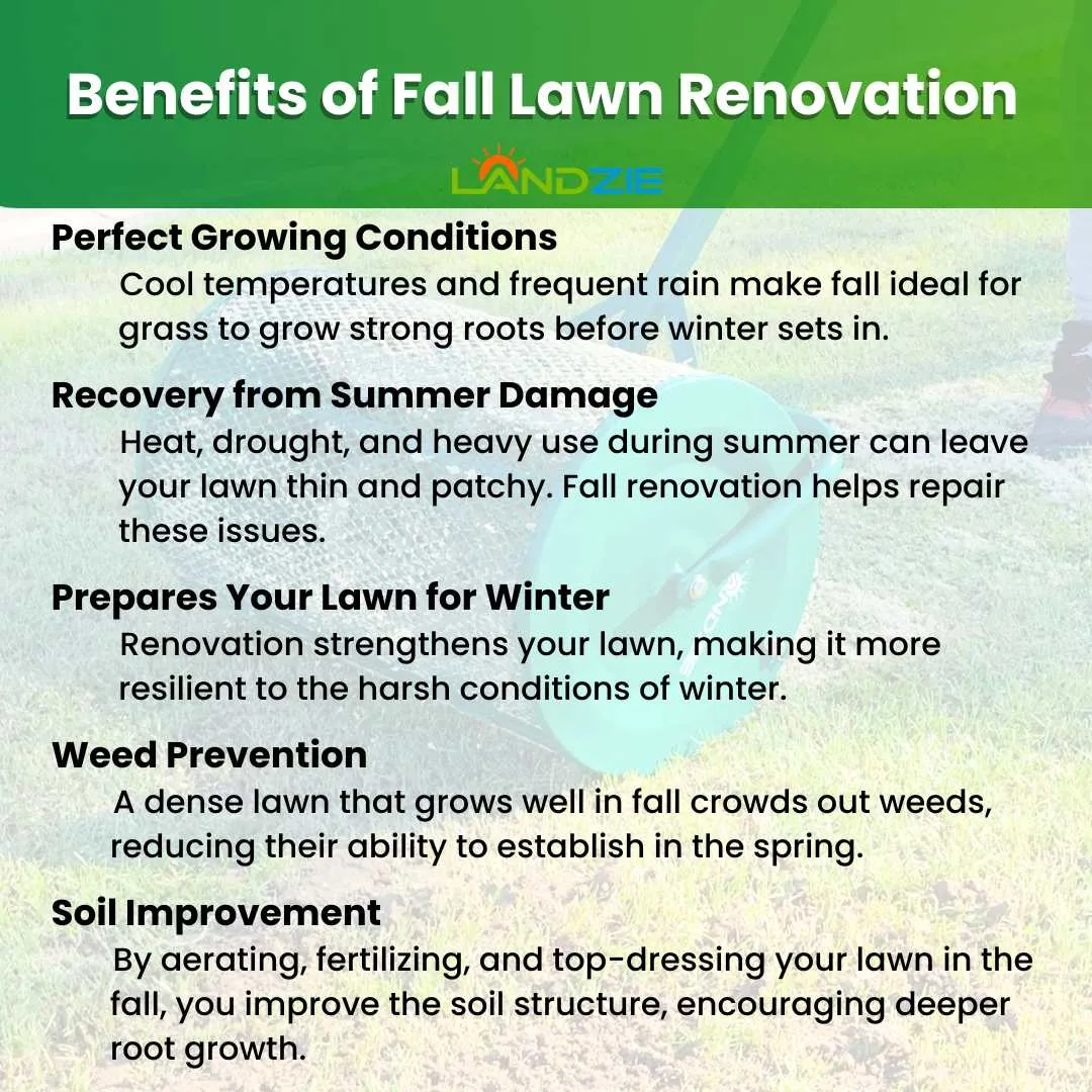 Benefits of Fall Lawn Renovation