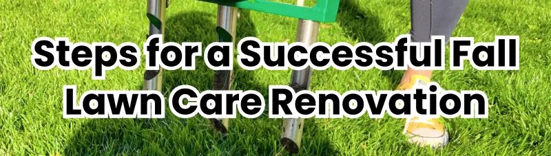 Steps for a Successful Fall Lawn Care Renovation